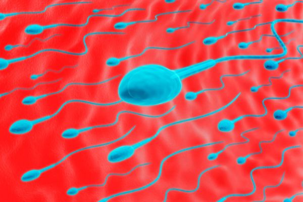 Low Sperm Count Treatment Online In Kashmir
